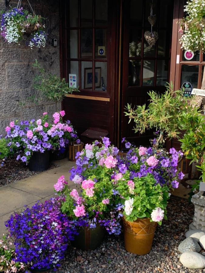 The Old Station Guest House セント・アンドルーズ エクステリア 写真